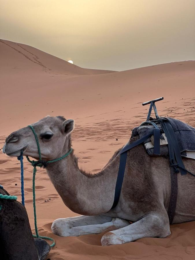 Riad Aicha & Camel Trekking Merzouga Eksteriør bilde