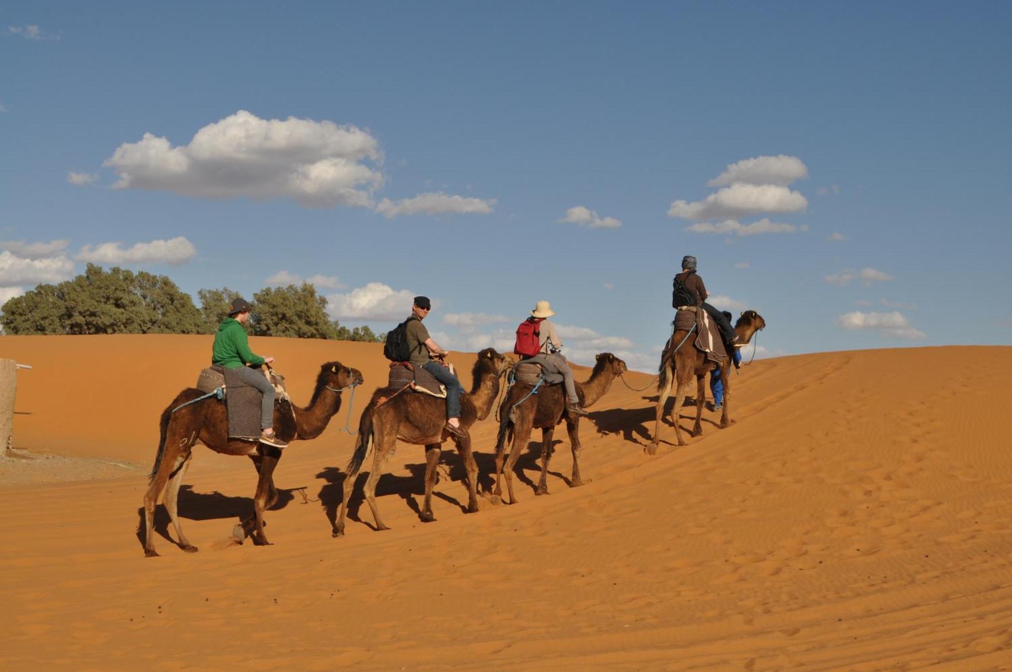 Riad Aicha & Camel Trekking Merzouga Eksteriør bilde