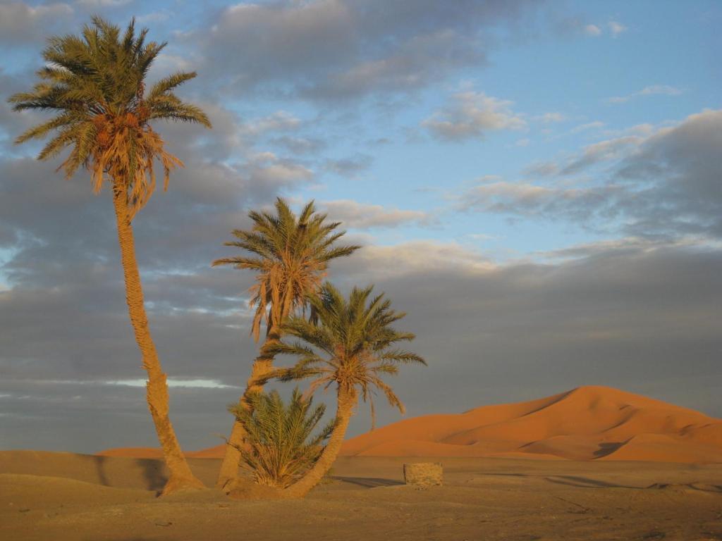 Riad Aicha & Camel Trekking Merzouga Eksteriør bilde